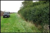 Hedgerow Survey Cheshire