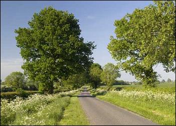 Hedgerow Survey Cheshire